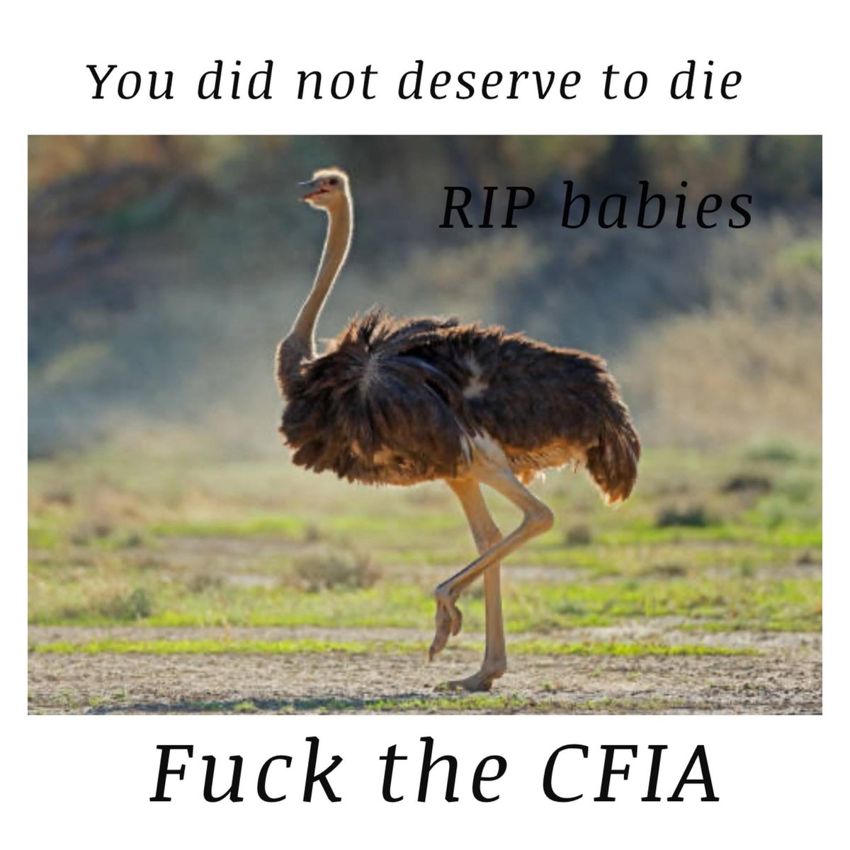 Sassygal1971's tweet image. 