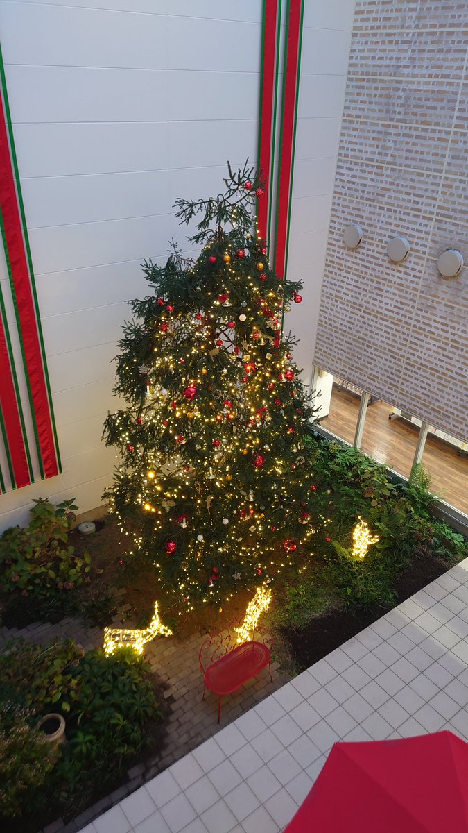 上から撮るのも良し #ツリーツイートの数だけ幸せがやってくる