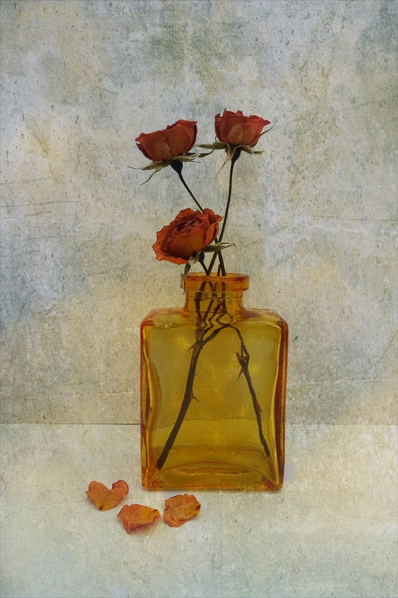 pellynut's tweet image. Faded roses