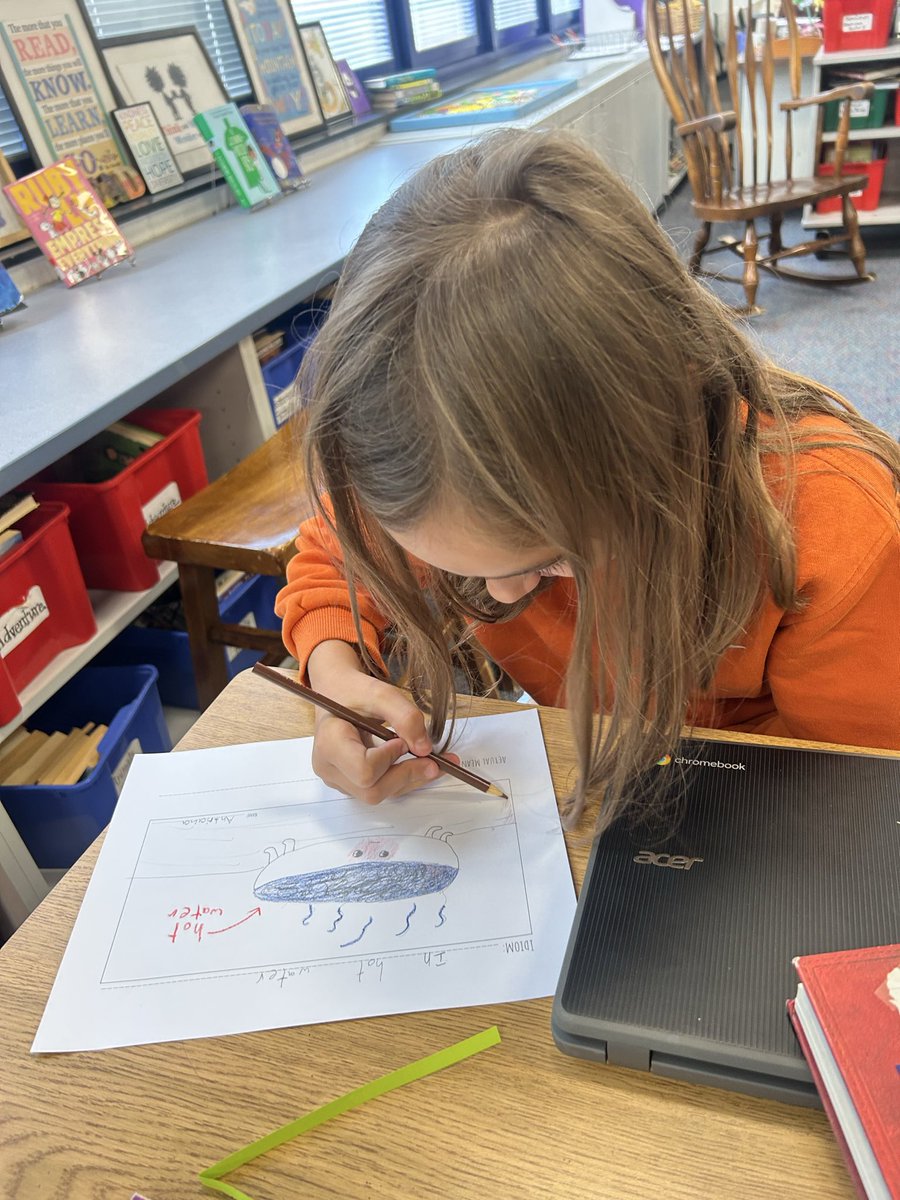 Anny Lee tweet media