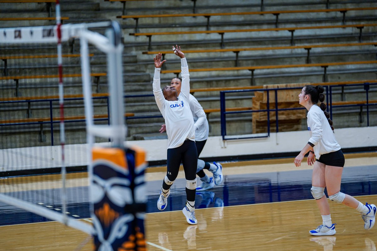 Tennessee State Volleyball tweet media