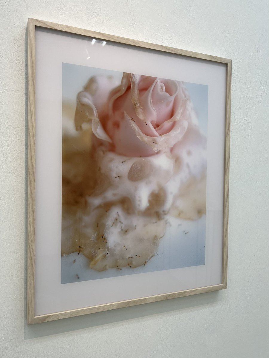 ありた (@arita_kei) / Posts / X