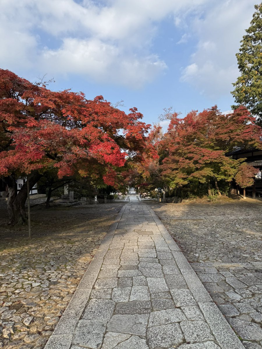 いもすけ (@imosuke24) / Posts / X