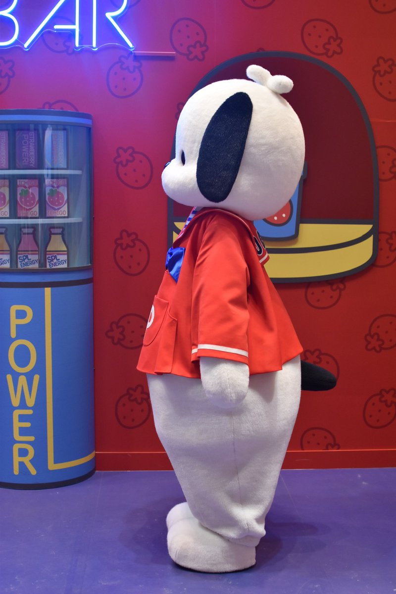 ぽちゃしゃま (@spmoac) / Posts / X