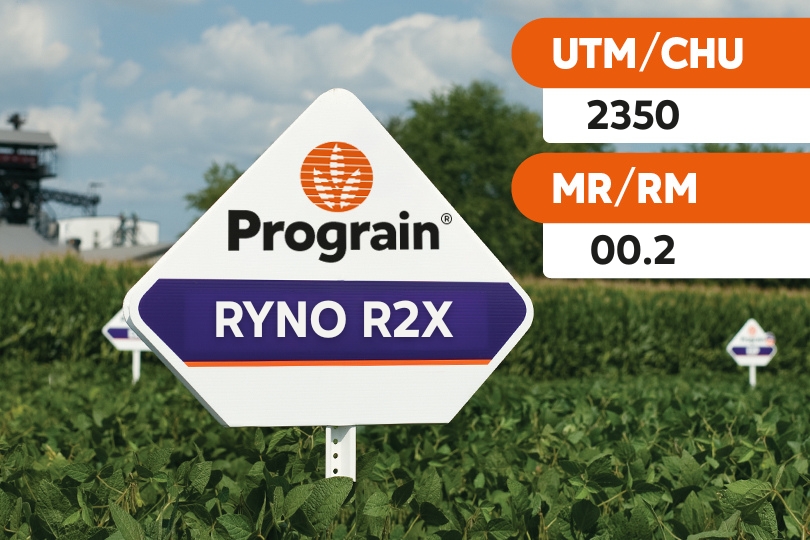 🌱A new early season variety with high yield potential.

𝗪𝗵𝗮𝘁 𝗺𝗮𝗸𝗲𝘀 𝗶𝘁 𝘀𝘁𝗮𝗻𝗱 𝗼𝘂𝘁:

◾Strong yield potential
◾Offensive variety that is well adapted to different
regions
◾Good standability and performance in all row spacing