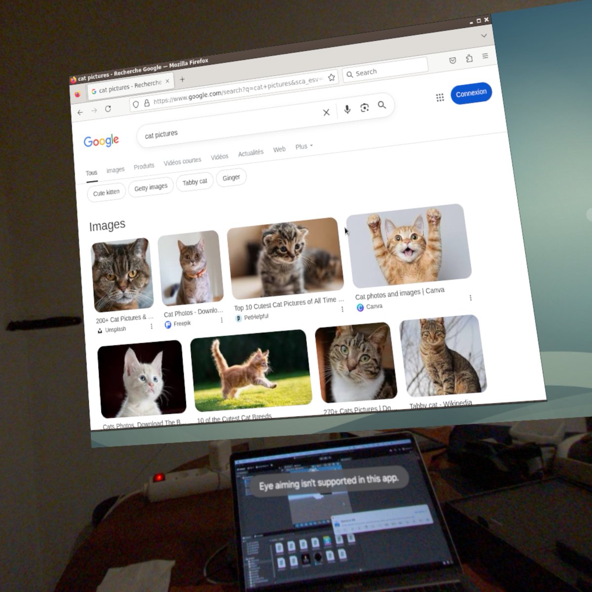 anjin_games's tweet image. #Firefox on Linux on #GalaxyXR because &quot;Cat Pictures&quot;
