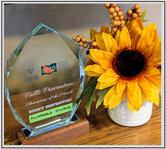 🎯 Purposeful Rounding = Big Wins!

Congrats to the team @ioofseniorscare on Allandale Village for being Champions of the Month!

 This team is putting residents first and making every round count! 🌟

#FallPreventionMonth #BPG #BPSO <a href="/RNAO/">RNAO</a>