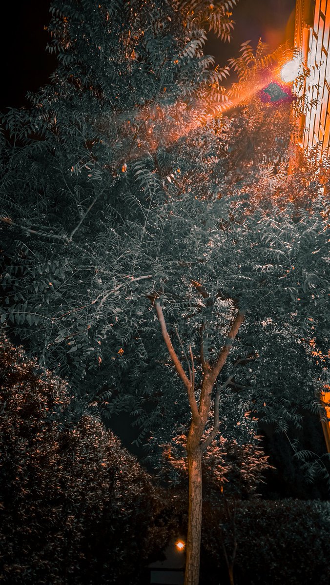 وليد الدلح (@aldala7) on Twitter photo 