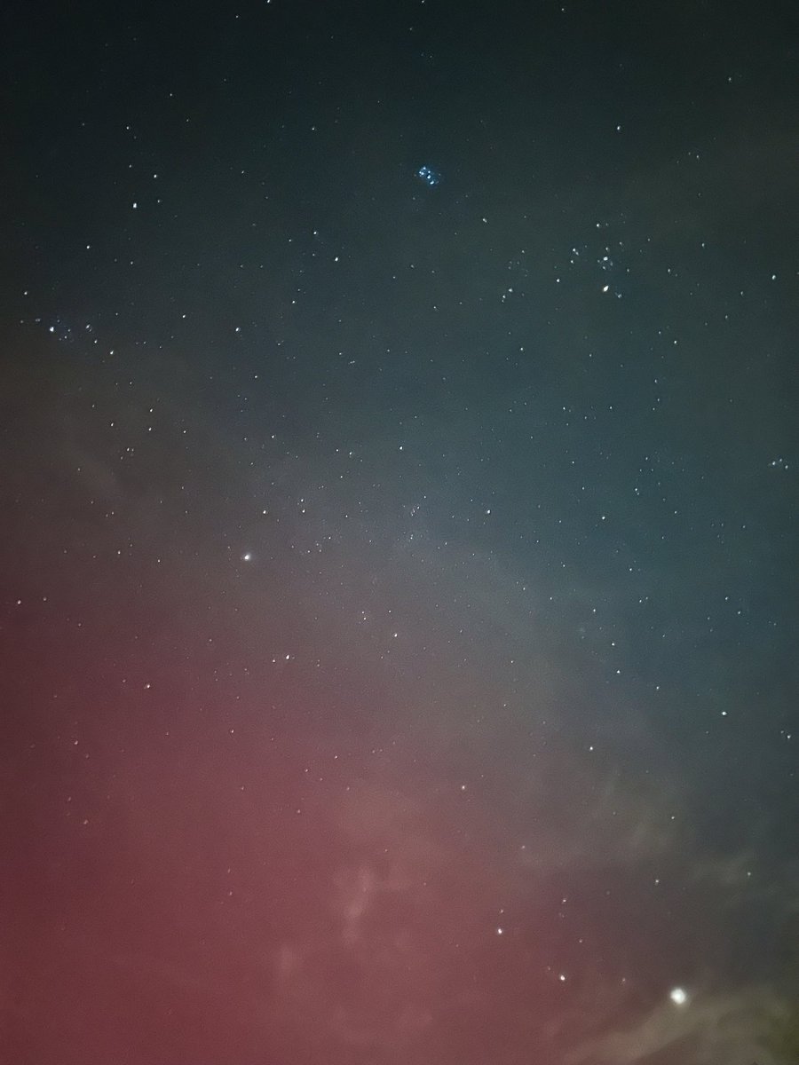 Kelly Geiger🌈 tweet media