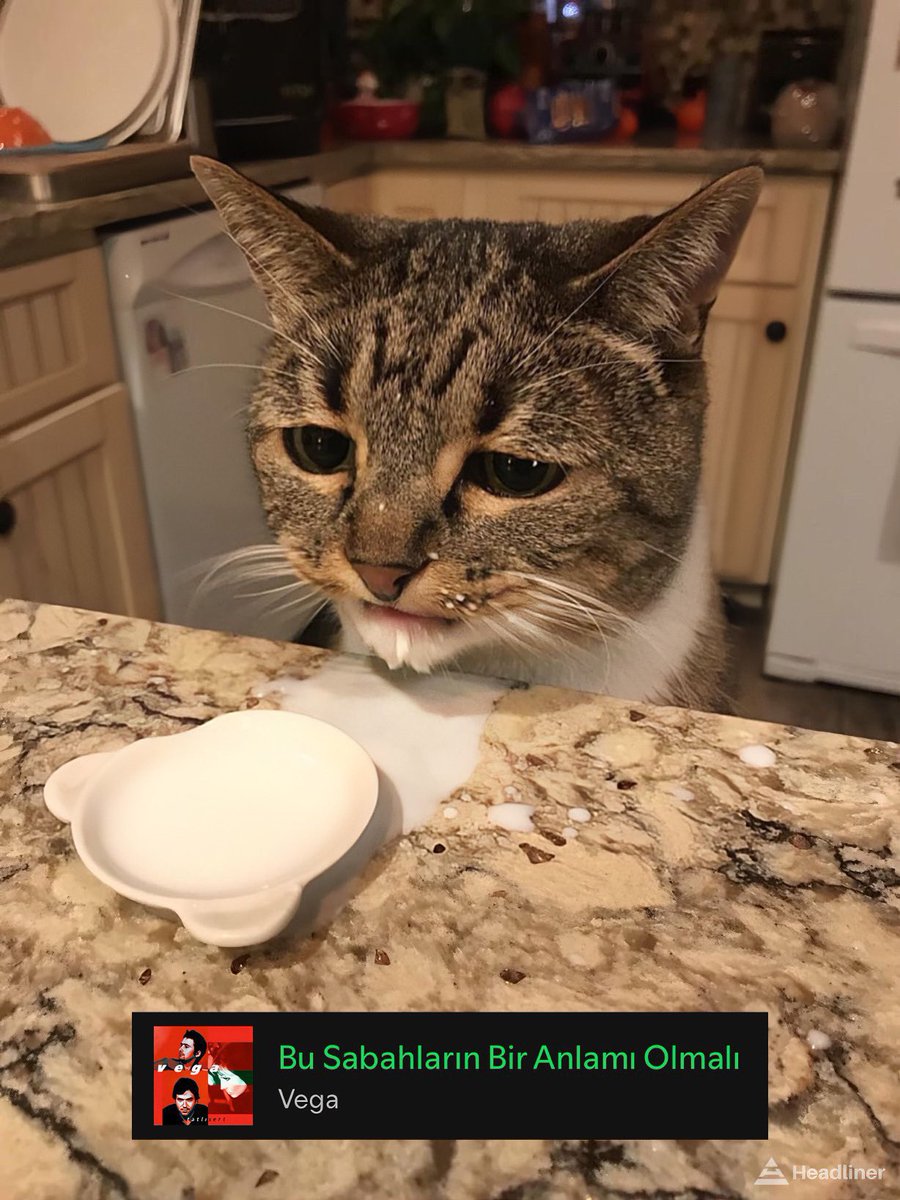 Headliner (@headlinertr) on Twitter photo 