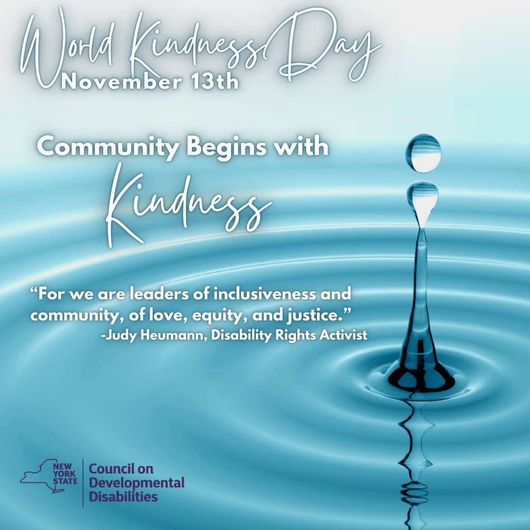 NYS Council on Developmental Disabilities tweet media