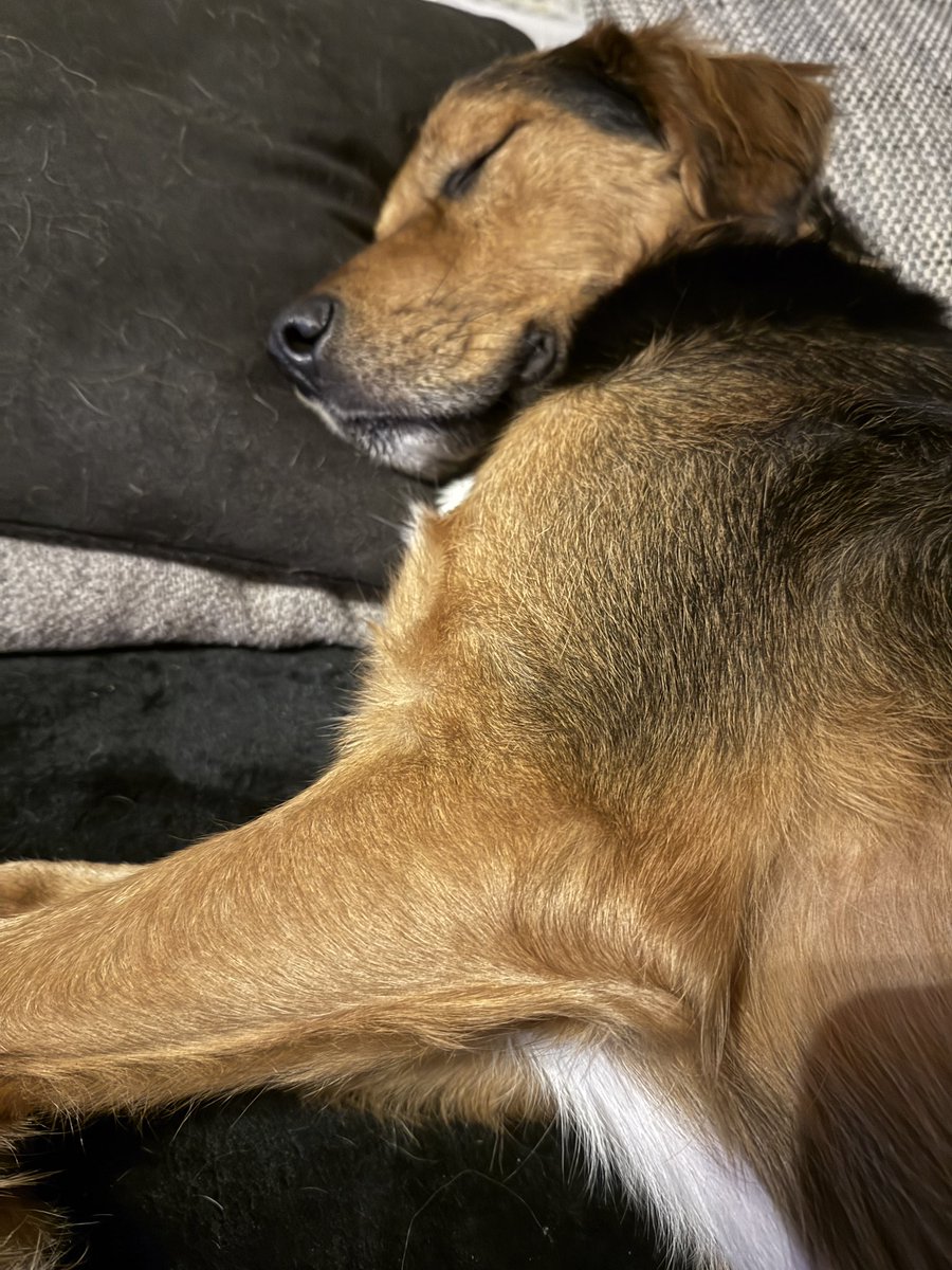 „His Royal Entspanntnes“ 😂