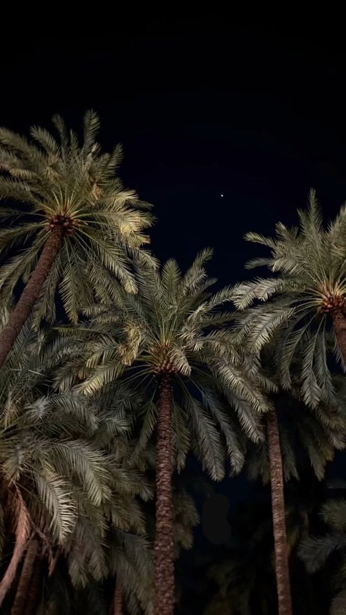 SAUDI IMAGE (@saudiic) on Twitter photo 