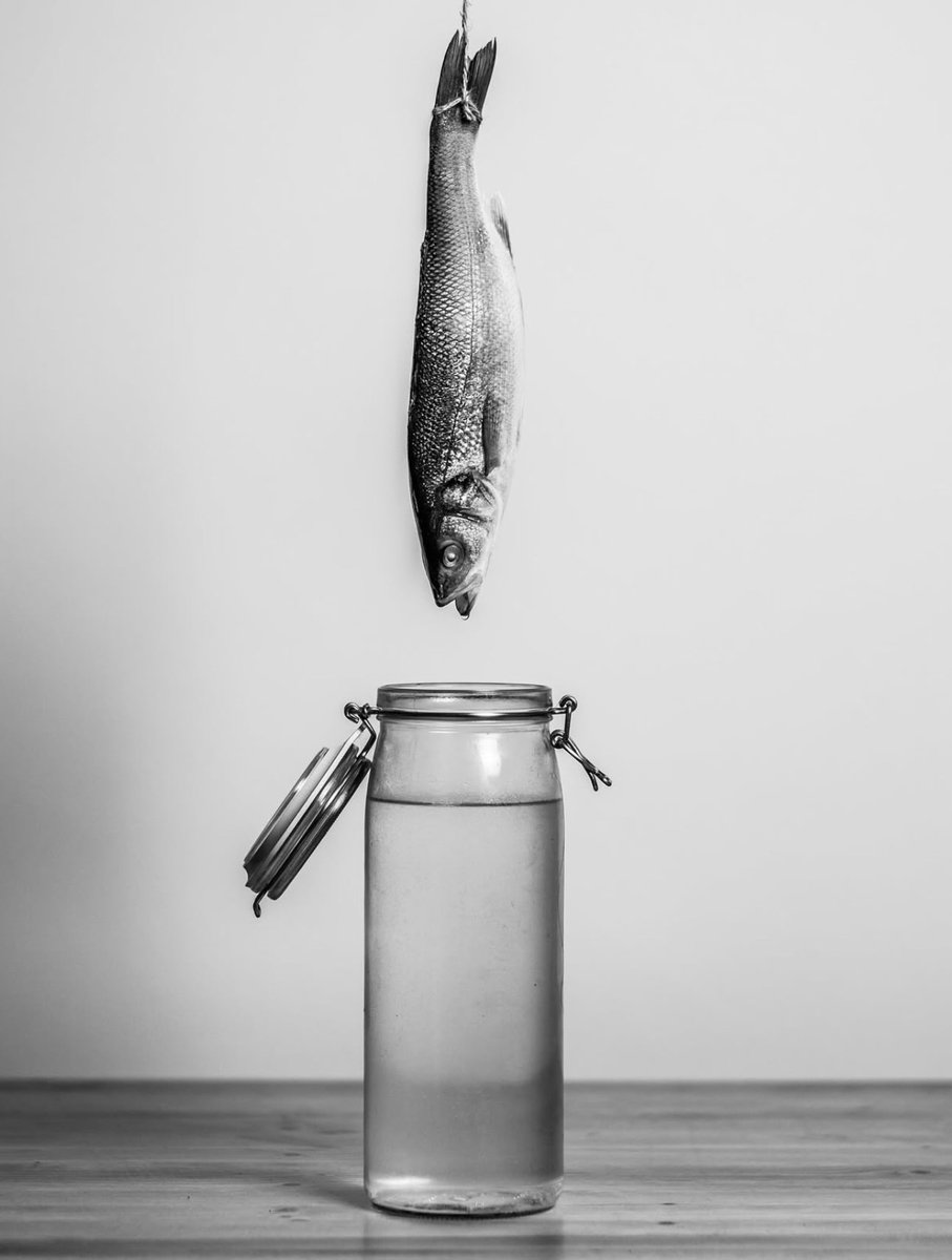 نحن نعيش لأن الزمن يرفض أن يتوقف، لكن أرواحنا تحنّ إلى لحظة لا زمن فيها. لو استطعنا أن نحيا في السكون، لتجمد الكون في توازنٍ كامل، ولأدركنا أن الخلود ليس امتدادًا للوقت، بل توقفه.