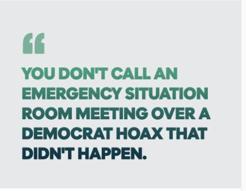 Brown Eyed Susan tweet media