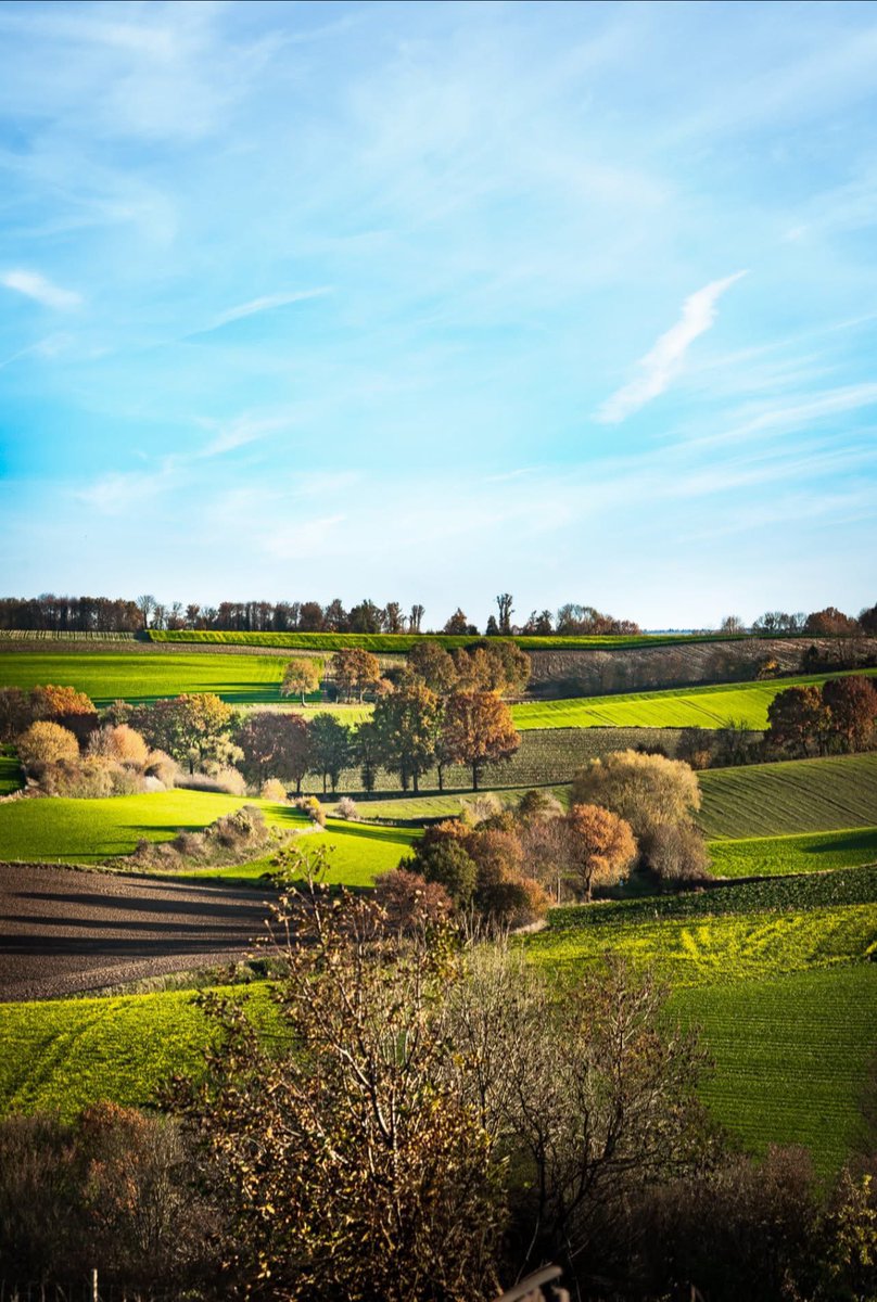 Fromberg #MagnifiekZL
📸: Ton Kleijnen - Facebook