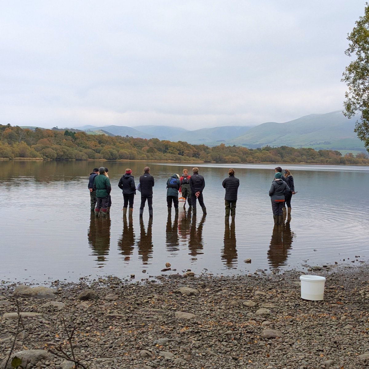 Freshwater Biological Association (FBA) tweet media