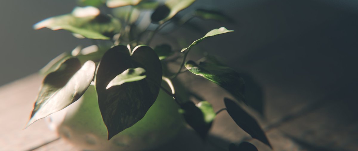 Powder Filmworks ™ (@powderation) on Twitter photo 