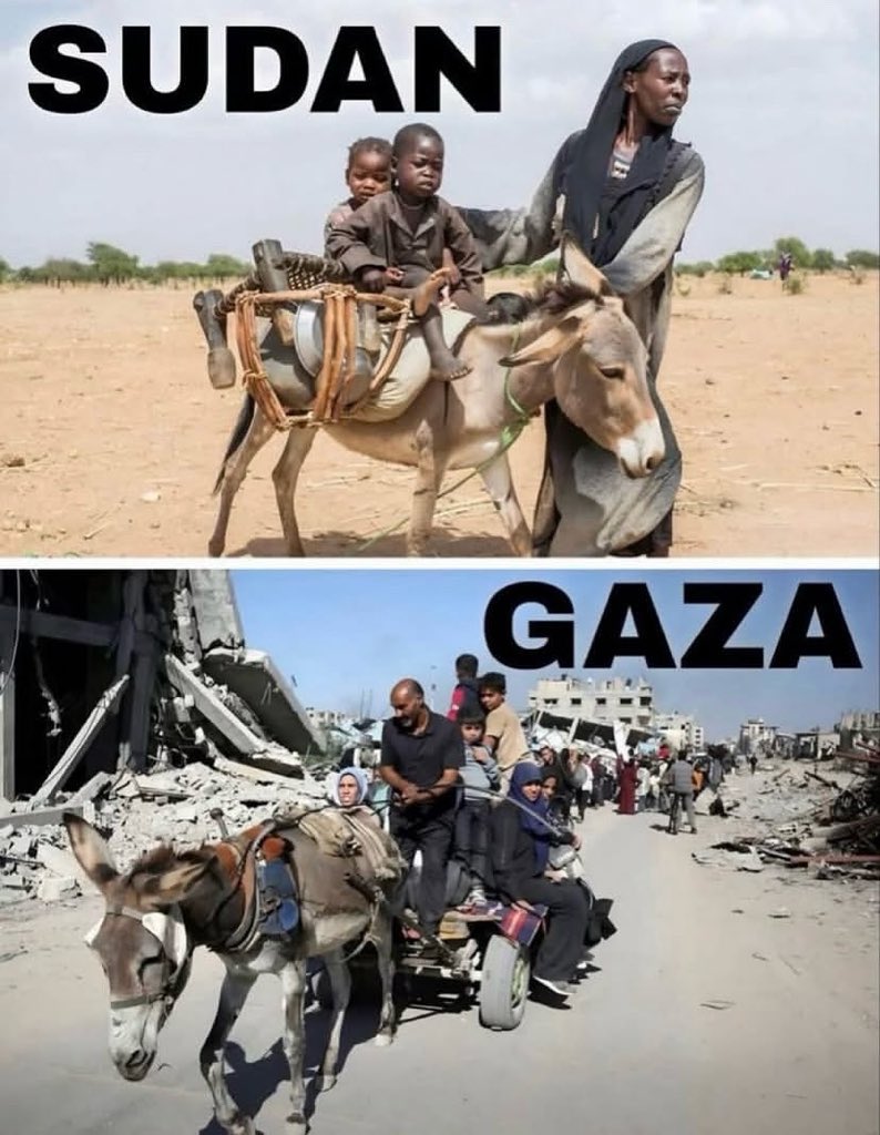 Basem alhabel tweet media