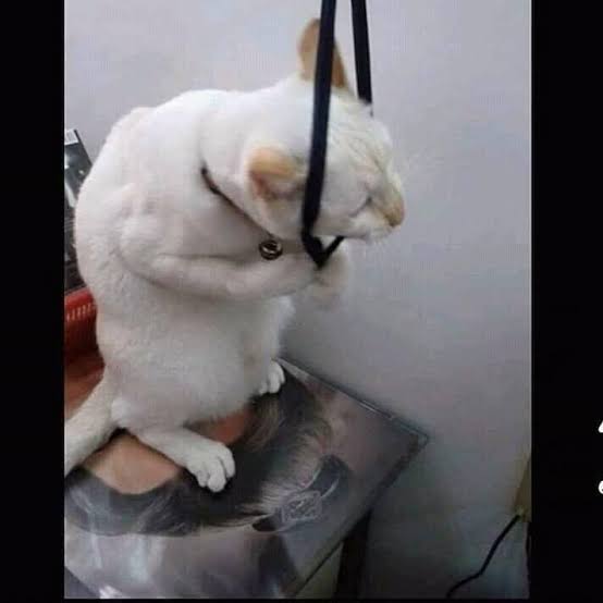 ldl112's tweet image. I can't take this anymore...
#科技类 #BYB  #Web3    #Defi #技术 #创新