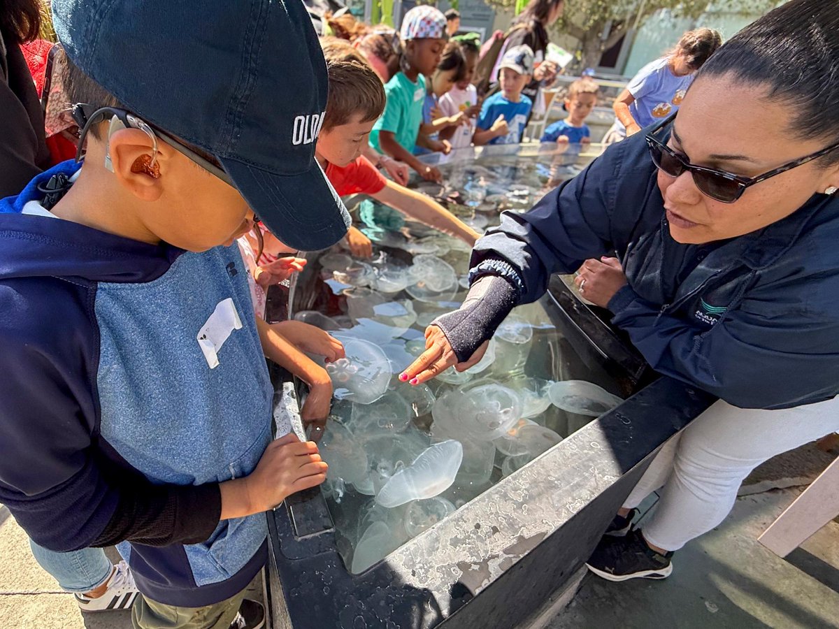 AquariumPacific's tweet image. It’s International Day of Zoo &amp;amp; Aquarium Educators! 🐟💡

Our educators spark curiosity everywhere, making #STEMforALL a reality. Every show, field trip, and program is powered by their passion. Please join us in thanking an educator who made your visit extra fintastic. 👏