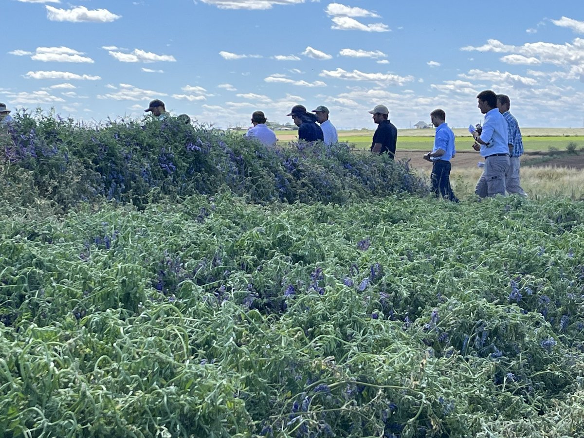 Recibimos en <a href="/INIA_UY/">INIA URUGUAY</a> La Estanzuela al grupo <a href="/FUCREA/">CREA Uruguay</a> La Cuchilla en jornada de intercambio técnico, donde se visitaron 3 ensayos: 

Secuencias de cultivos, 
Suelos y 
Malezas