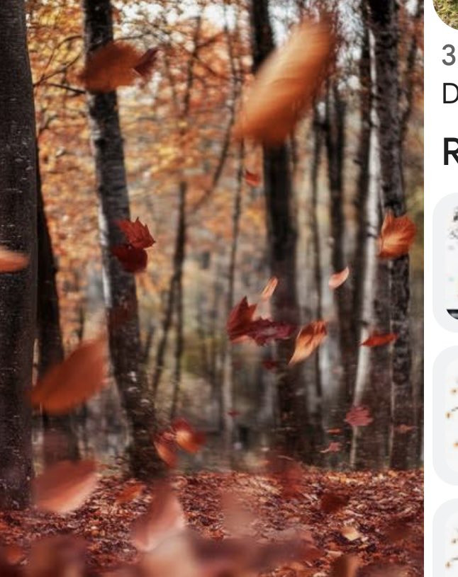 autumn days #numbered 
trees lose cloak of colored hues
winter takes a stance

#vss365 #number 
#haiku 
#WritingCommunity 
#poetry #nature 
Pinterest