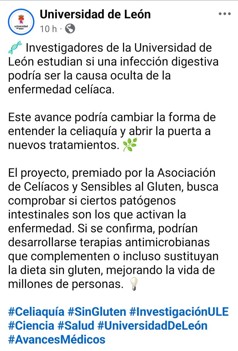 Celiacaloca tweet media