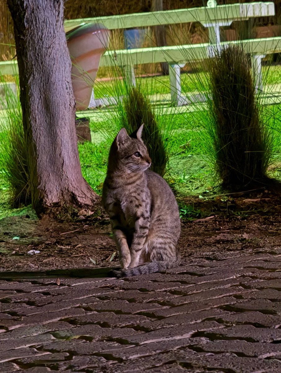 تتباين معادن الناس أمام الإكرام
وتظهر كـ رَدَّة فِعل أخلاقية
فتجد النّبيل ذُو الأصل الكريم
كُلما أكْرمته أسَرْته سواءً كان ذلك 
في موقف أو عَطاء أو كلمة طيّبة
أمّا رديّ الجوهر فلا يزيدُه الإحسان
إلا لُؤمًا ودناءَةً وحقدًا وكَراهيَّة
هي معادن بشريَّة تستحقّ التأمُل🍂