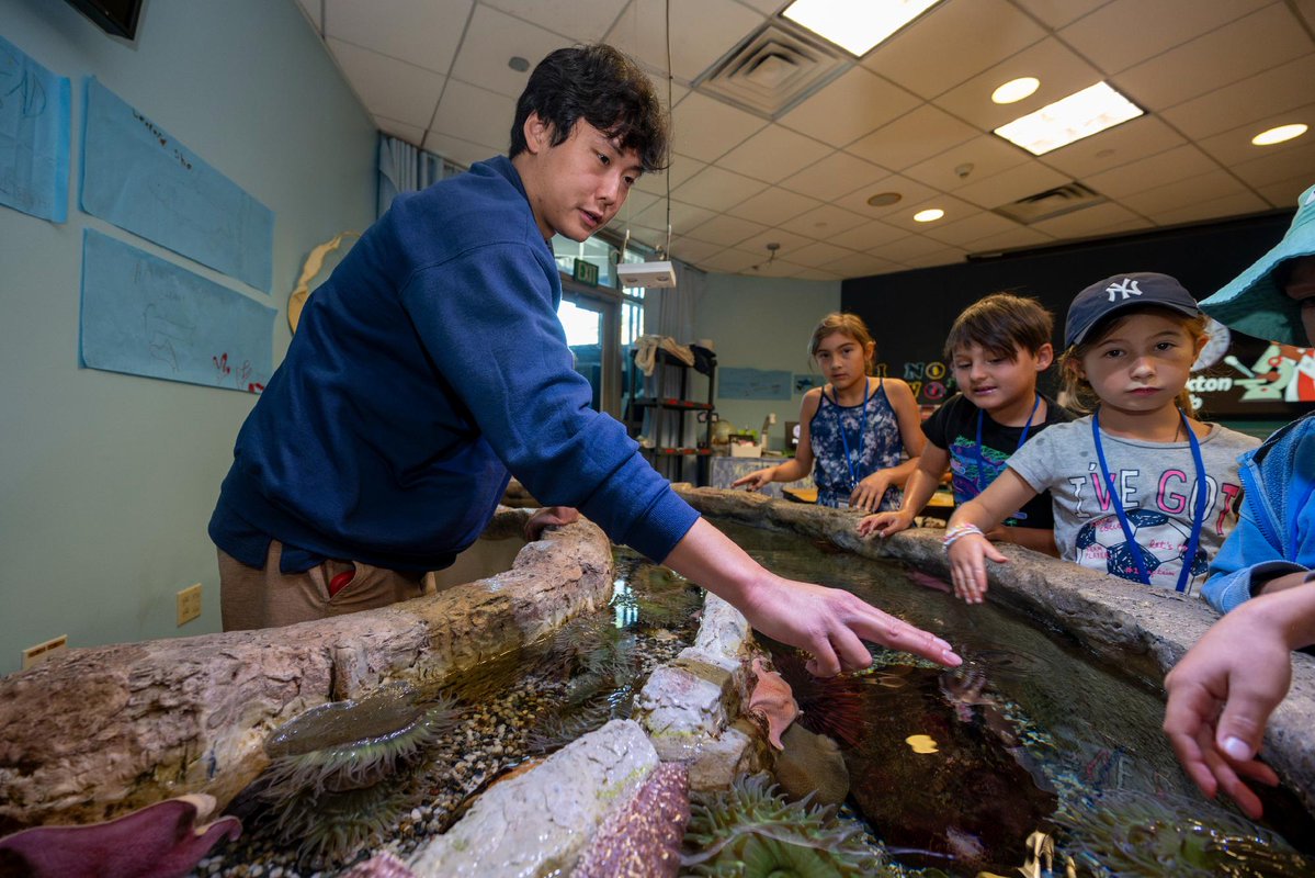AquariumPacific's tweet image. It’s International Day of Zoo &amp;amp; Aquarium Educators! 🐟💡

Our educators spark curiosity everywhere, making #STEMforALL a reality. Every show, field trip, and program is powered by their passion. Please join us in thanking an educator who made your visit extra fintastic. 👏
