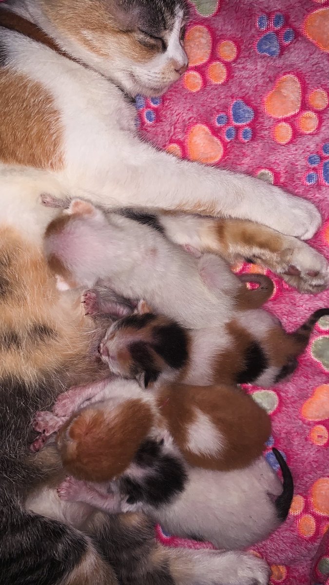 Welcome to The world