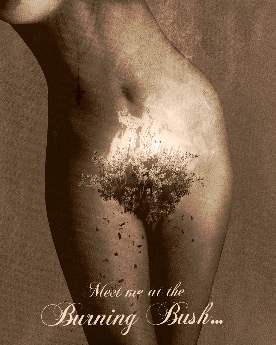 vintagefantasy (@vintagefantasy_) on Twitter photo 