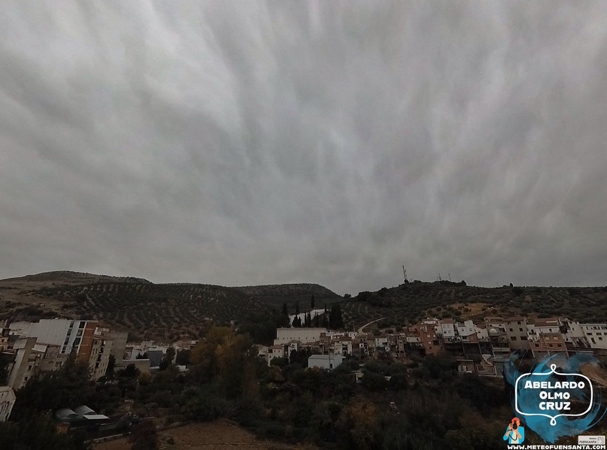 ABELARDO OLMO tweet media