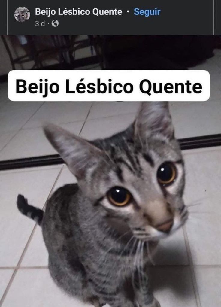 Beijo Lésbico Quente