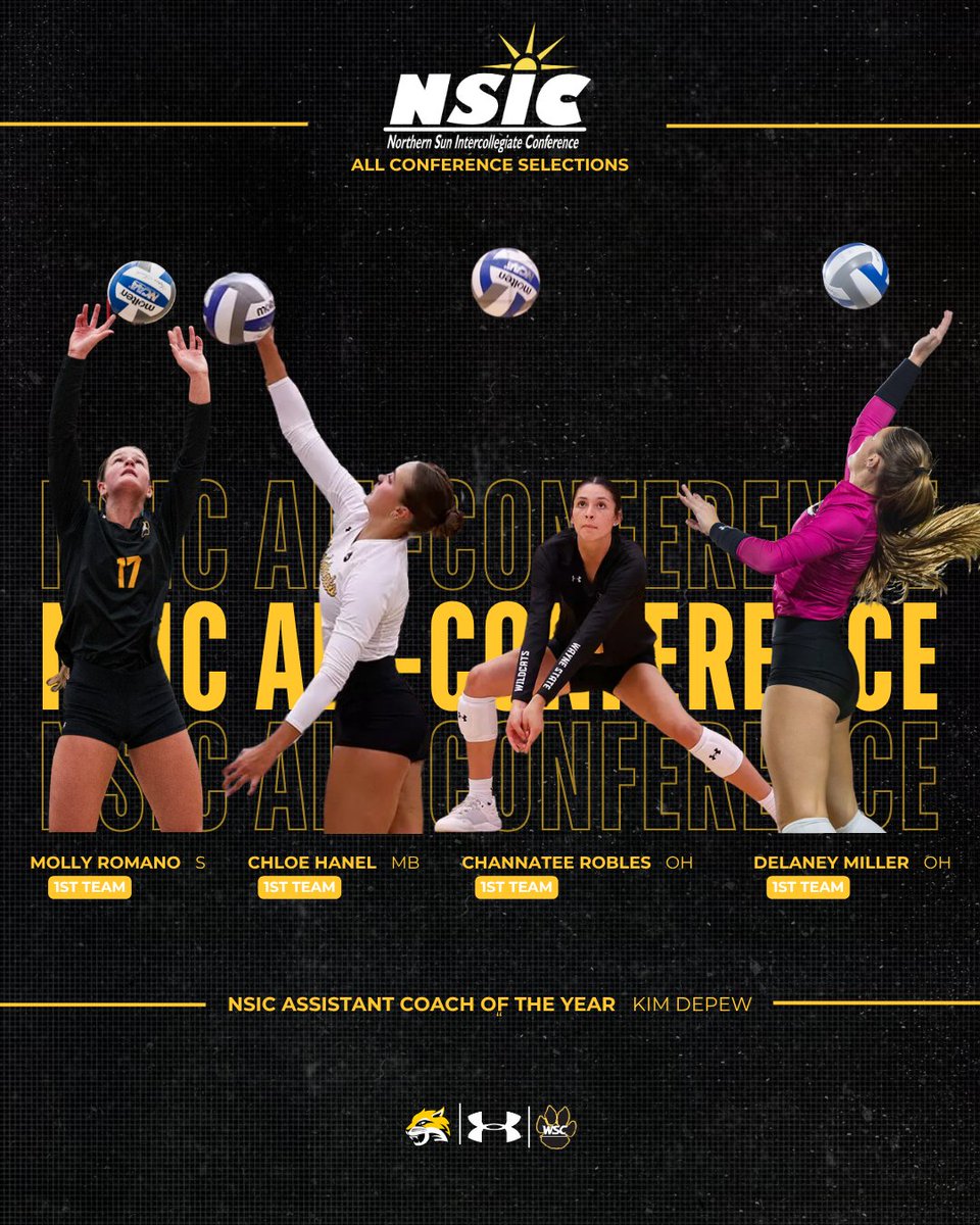 WSCWildcatVB's tweet photo. A big CONGRATS to these Wildcats on their NSIC Conference honors!😺

#ItsYourShip | #StayAnchored https://t.co/lNM9W4mzyg