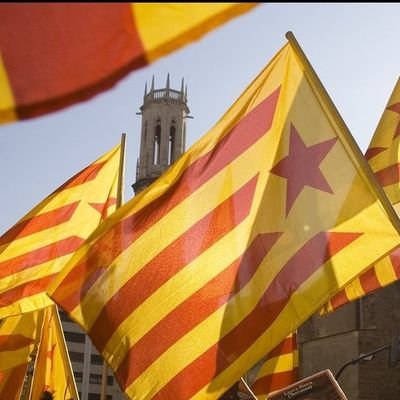 ViaMark_'s tweet image. #Catalunya #PaissosCatalans ||*||
#ForaAC #ForaVox