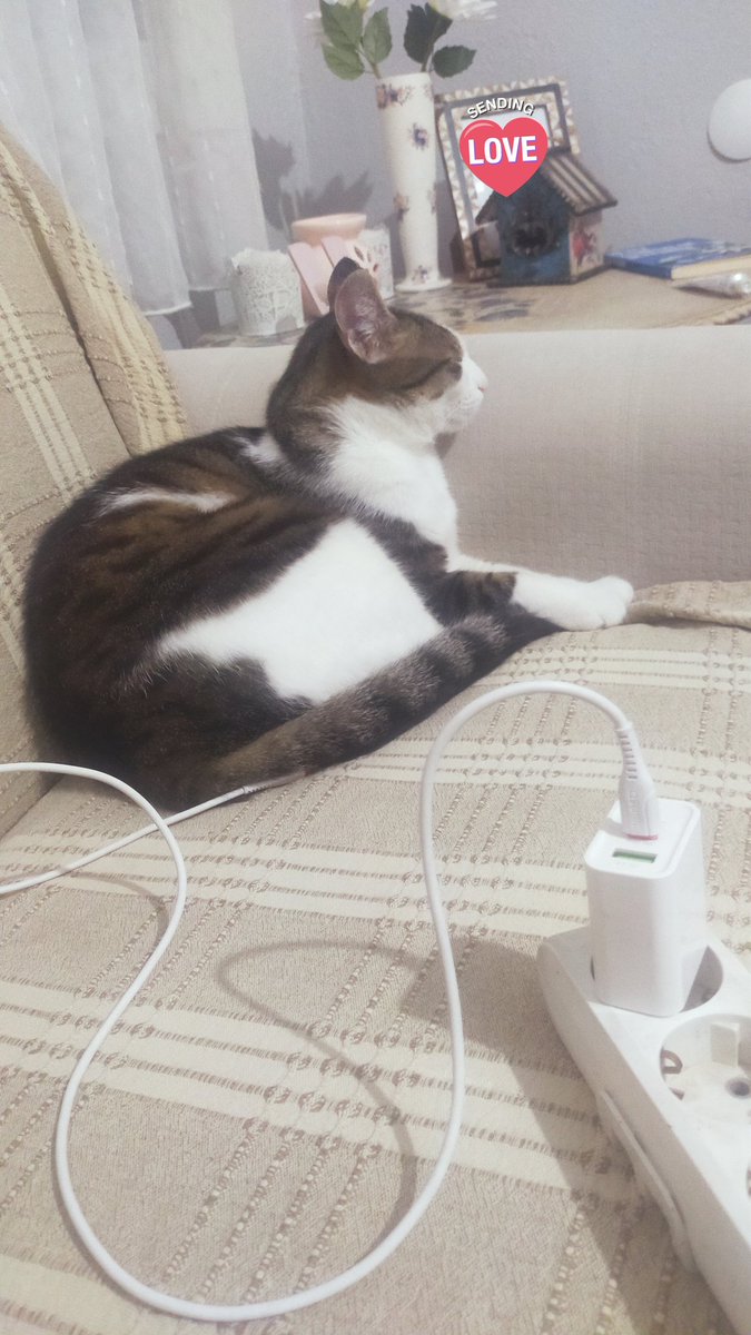 Şarj oluyor  🔋sjsjs