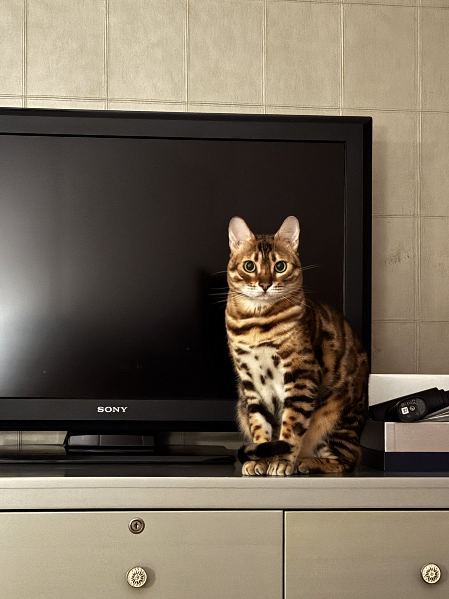 今年的双十一购物静悄悄（本电商人哭了😭😭）

但是中美股市的打折活动都异常火爆（股民要西特了）

黑色十一月，难受😭😭😭

怎么又大跌啊，不是说政府要开门了吗？难道ai泡沫要破？没那么快吧！还是因为涨多了？降息预期不明朗？缺乏流动性？ai投入太高难以盈利？

我好像一个绝望猜题的考生😭😭