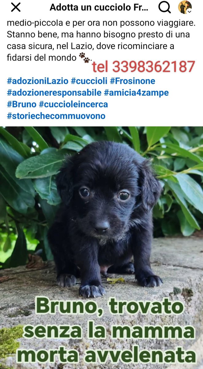 geisup's tweet image. 