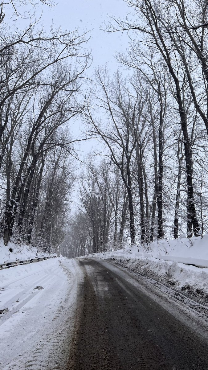 x88_x7's tweet photo. ❄️•☃️•🌲 https://t.co/ZTexhJ5cI8