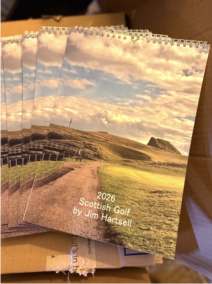 Holes Fore Hope tweet media