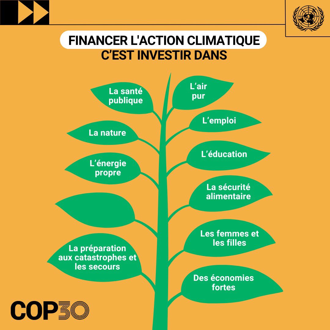 UNMadagascar's tweet image. Le financement climatique n’est pas une charité, c’est un investissement dans un avenir plus sûr pour tous. 

#COP30 #Belém2025