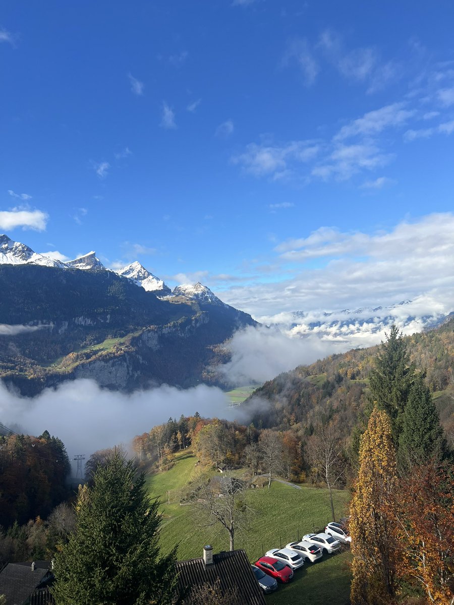 RalfBox's tweet image. Fuck bad weather, enjoy your time!

Usually I dislike autumn. I hate weather getting cold, I hate days getting shorter, I hate absence of summer and winter activities.
This October I forced myself to go visit friends in three countries and attend GLC. And it was a blast!