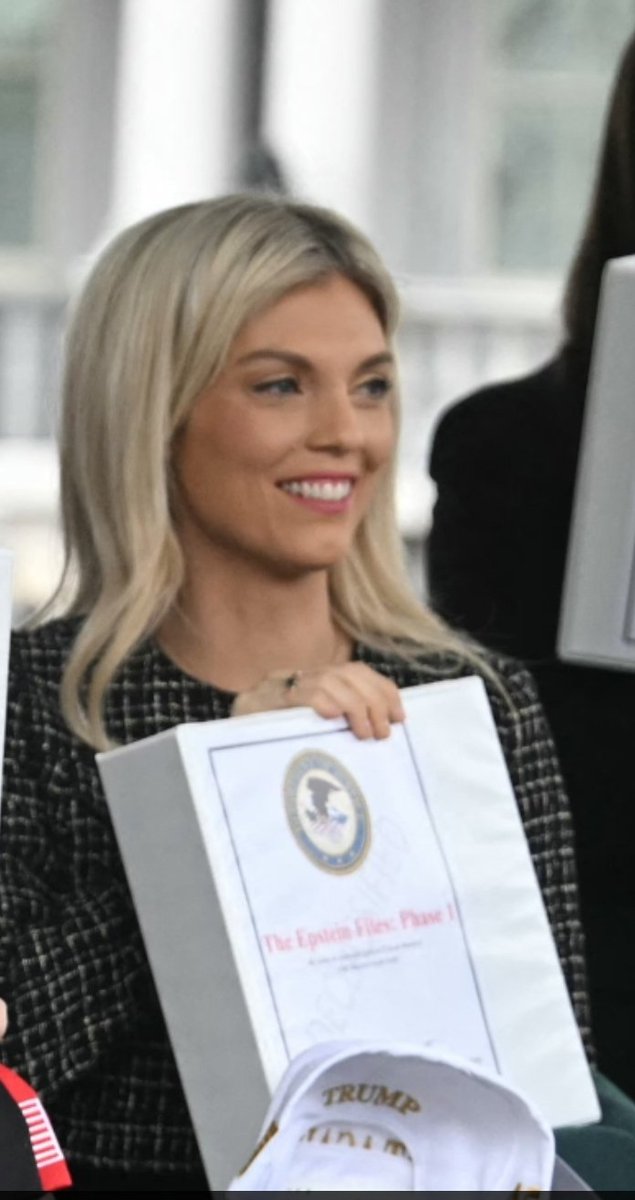 dStroemsborg's tweet image. Remember all those #maga #Pro #ReleaseEpsteinFiles
#Phase1