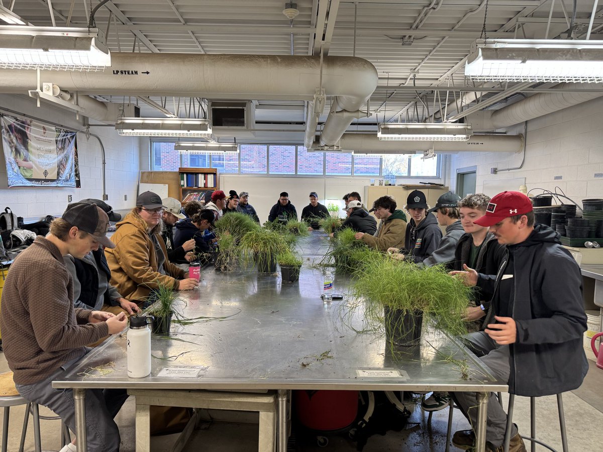 Paul Koch tweet media