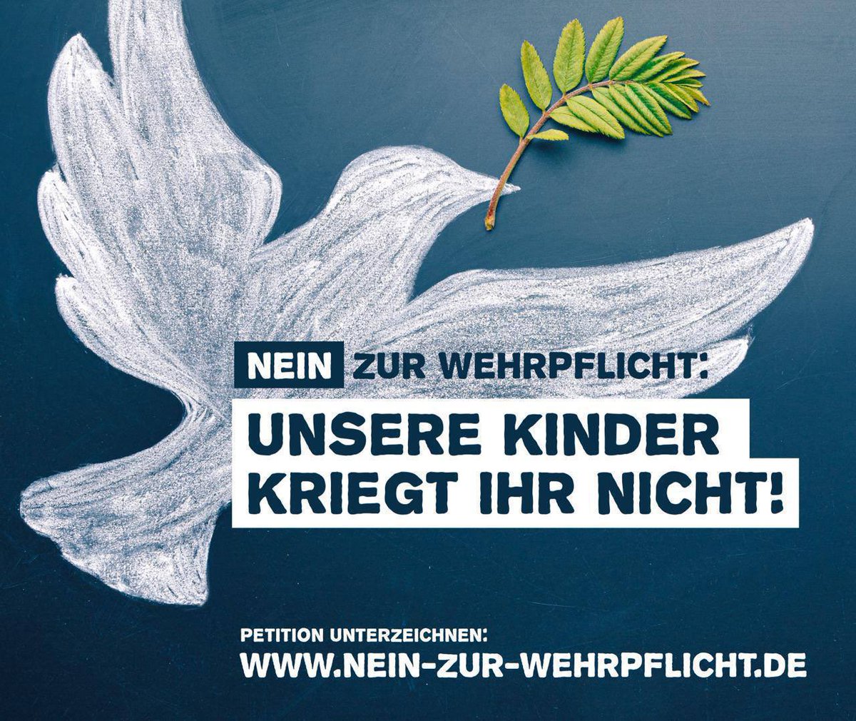 EIL: Bundesregierung beschließt Wehrpflicht für alle (!) jungen Männer!

✍️ Unsere Kinder kriegt Ihr nicht, jetzt online unterschreiben! 

Paukenschlag am späten Mittwochabend: CDU und SPD haben soeben beschlossen, die Wehrpflicht für alle jungen Männer einzuführen. Das Gesetz