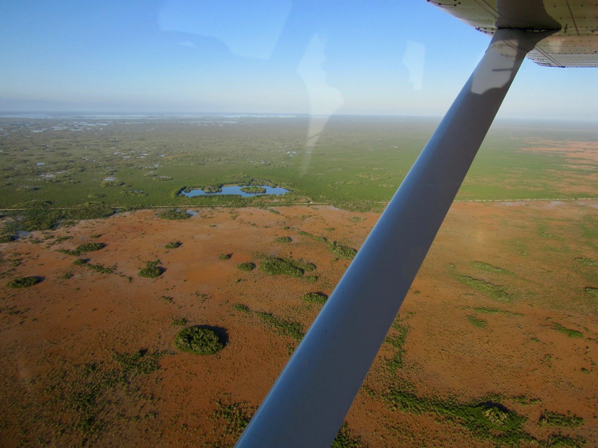 lighthawk_org's tweet image. #TBT In 2019, we flew with the Everglades Foundation (@evergfoundation) over Florida Bay and the Tamiami Trail restoration area.

Restoring the natural flow of water is still critical today—and the aerial view shows why. 🌿✈️
📸 Steve Davis &amp;amp; Ryan Boggs
#Everglades #LightHawk