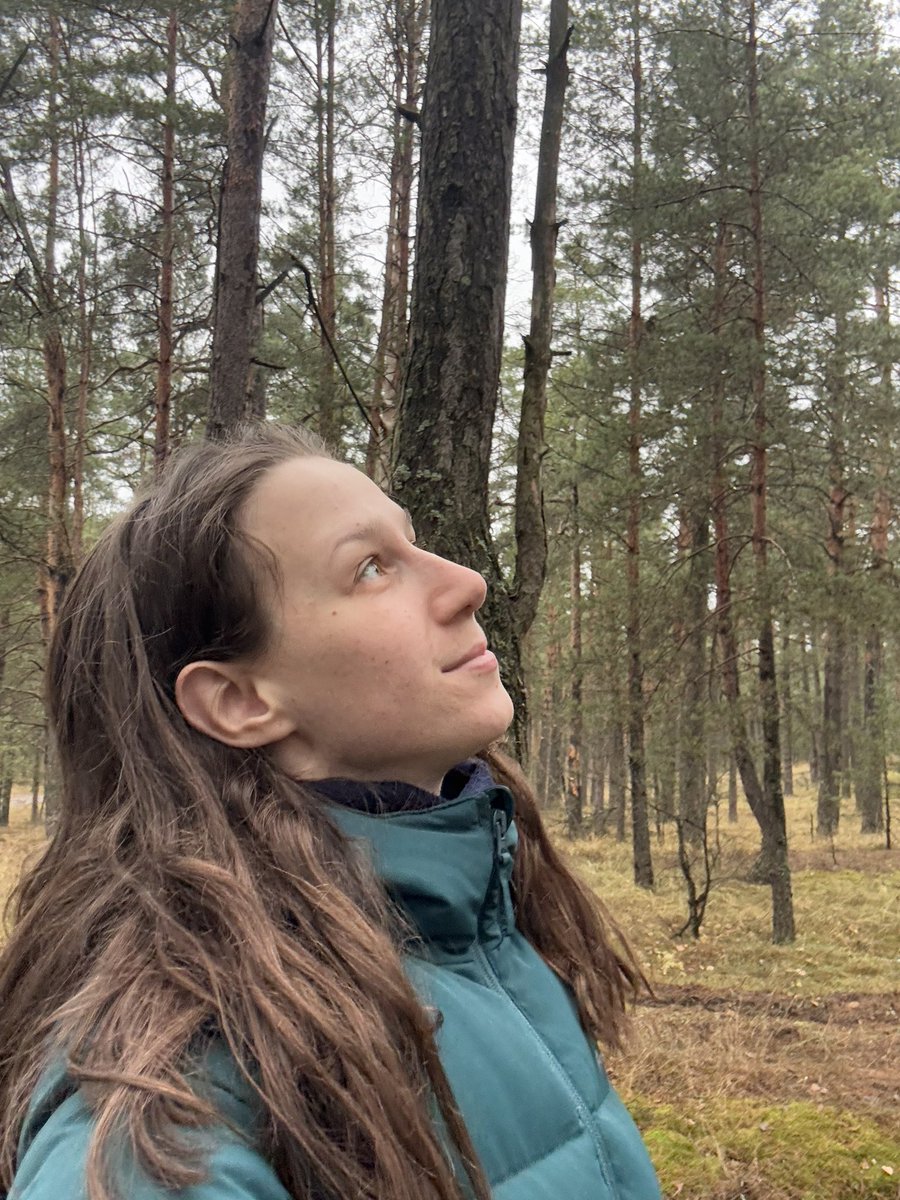 Как же я обожаю лес 🥰