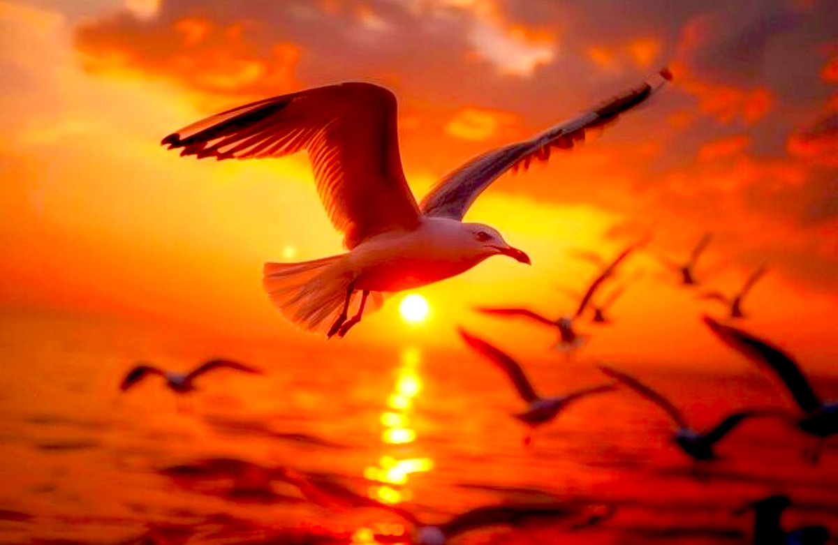 #fotografia Y la tarde nos obsequia los últimos rayos de tibieza #BuenasTardes