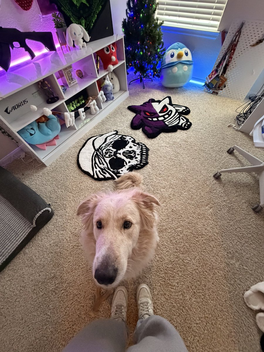 Shortypie🫧 tweet media